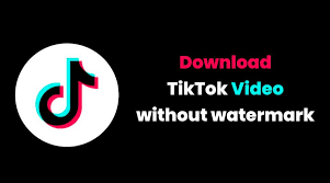How to Download TikTok Videos Without Watermark for Free
